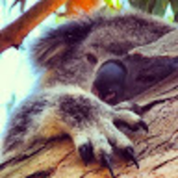 Meet your Posher, Cathie - Picture 1 of 1